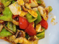 酱爆八爪鱼-渔娘渔家丹东海鲜(东直门店)