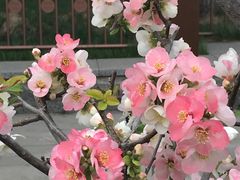 -陶然亭公园