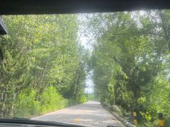 -北岭山森林公园