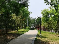 -大望京公园