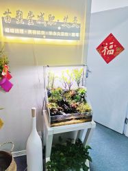 -苗塑堂减肥·艾灸