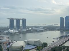 -新加坡瑞士史丹福酒店