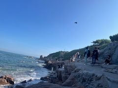 -青岛海滨风景区