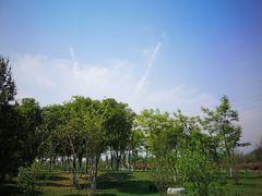 -洨河生态公园