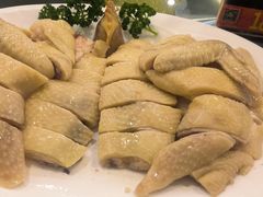 中国金奖清心鸡-清新鸡沙田乳鸽店(金融店)