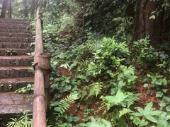 -红寺湖