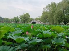 -长春市南湖公园