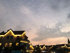 -美的鹭湖森林度假区