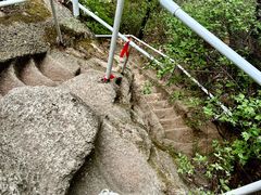 -六里坪国家森林公园