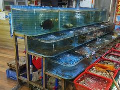 -瑶记海鲜餐厅(西涌店)