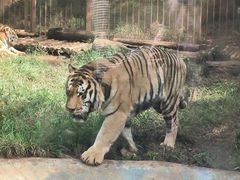-昆明动物园