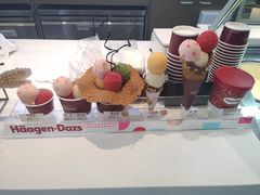 -哈根达斯(石家庄北国店)