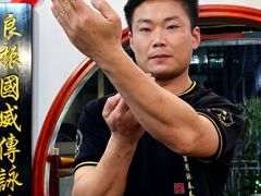-温鉴良实用咏春拳