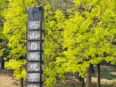 -北京西山国家森林公园