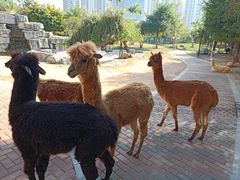 -灵玲国际马戏城