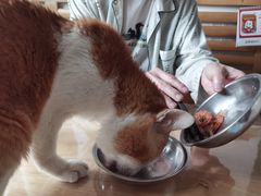 -荔康动物医院(康王北路店)