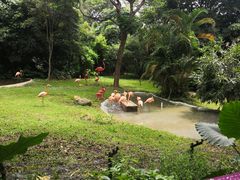-深圳野生动物园