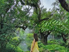 -Chom Cafe and Restaurant