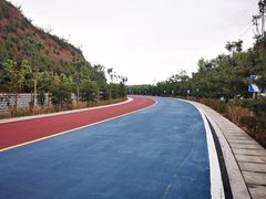 -五龙城郊森林公园