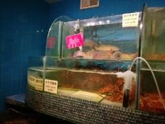 -香港东海海鲜酒家