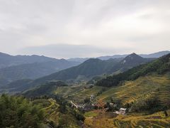-紫鹊界梯田景区