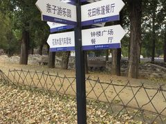 -紫海香堤香草艺术庄园