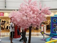 -金明姬铁锅炖(东坝店)