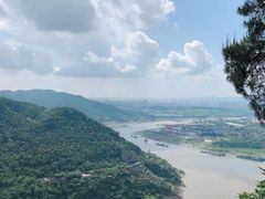 -铁山坪森林公园