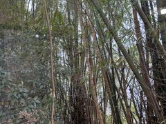 -乡巴佬鼎锅饭