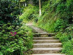-莫干山风景区