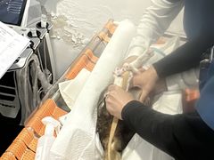 -申普宠物医院·眼科·心内科·影像科(普陀分院)