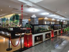 -水立方国际汤泉(六一中路店)