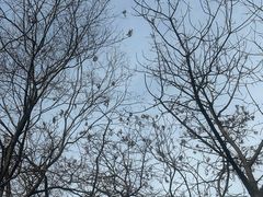 -终南山南五台景区