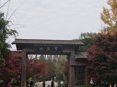 -习家池