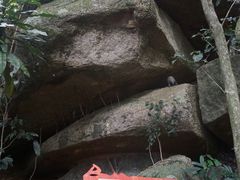 -海南霸王岭国家森林公园