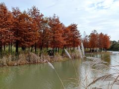 -梁鸿国家湿地公园