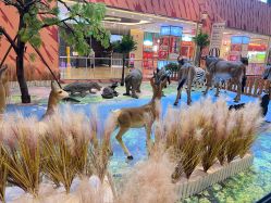 点击看大图 -卡通尼·Safari非洲探索乐园·生日会(金桥国际商业广场店)