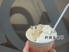 -Dip in Gelato(富民路店)