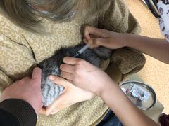 -宠颐生中康贝怡动物医院