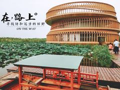 -荷塘月色湿地公园·向阳花洲