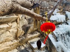 -黑龙潭风景区