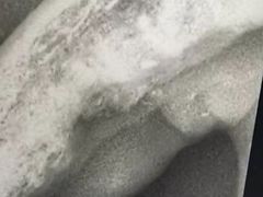 -pd派德宠物中心医院24H急重症·眼科中心·血液透析中心(嵩山北路店)