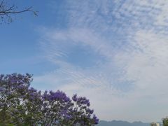 -金海湾滨江公园