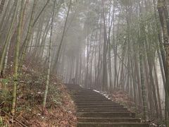 -大围山国家森林公园