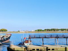 -大湾区中央湿地公园-十九涌