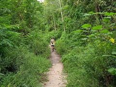 -白鹭湾湿地公园