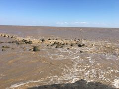 -南汇嘴观海公园