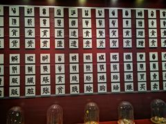 -青岛贝壳博物馆