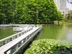 -白塘生态植物园