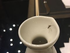 -东方广场假日酒店-蜀咖啡餐厅